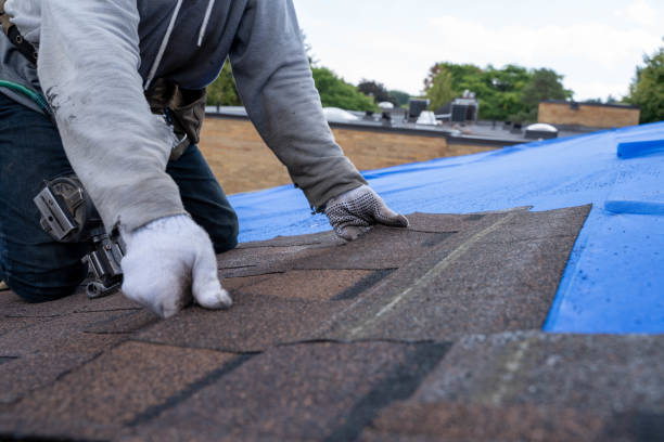 Best Roof Insulation Installation  in Lac Du Flambeau, WI